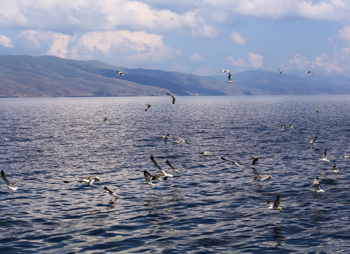 LE LAC SEVAN