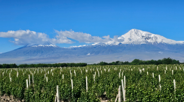 SUR LES TRACES DU VIN EN ARMÉNIE