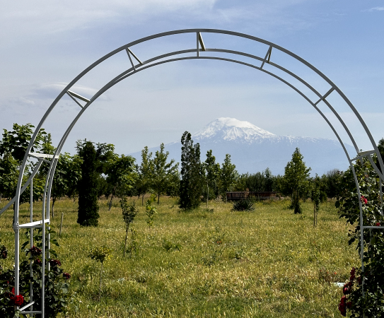 Wine Traces in Ararat Valley