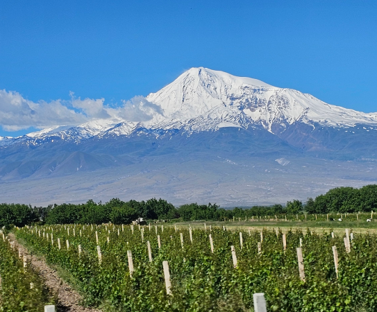 Khor Virap Monastery, Areni-1 cave with the oldest 6100 years old winery in the world, Noravank Monastery, Tour and degustation at Tushpa Wine cellar. Overnight in Yerevan.